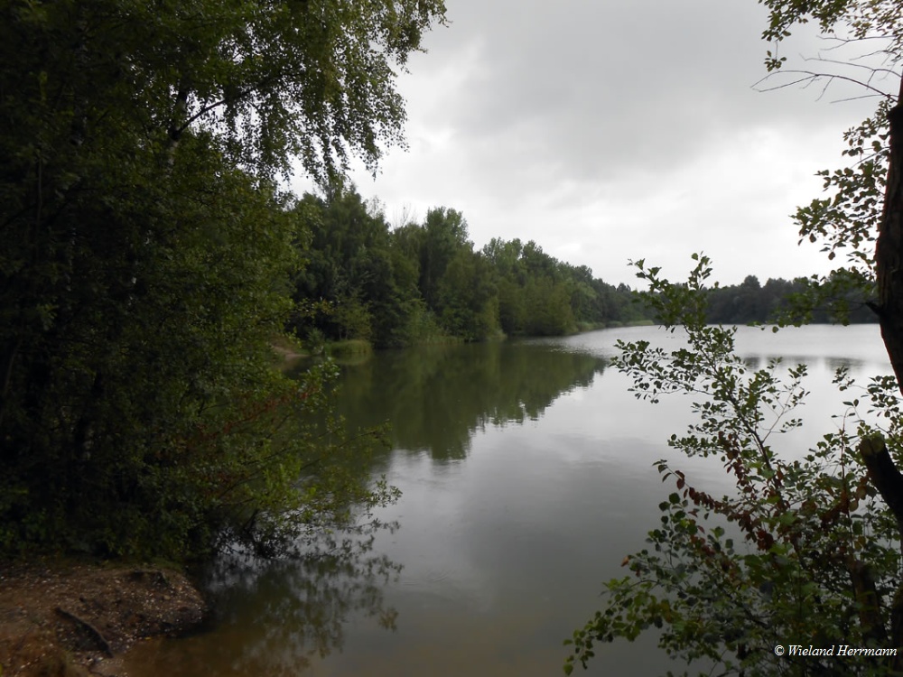 Huenxer Wald_